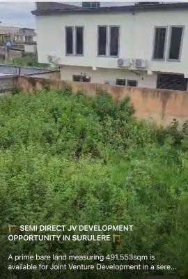 a Prime Bare Land Measuring 491.553sqm Is Available for Joint Venture, Off Babs Animashaun Bode Thomas Surulere, Surulere, Lagos, Mixed-use Land Joint Venture