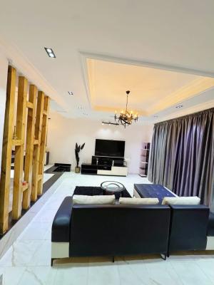 Well Furnished Spacious Mini Flat, Lekki Phase 1, Lekki, Lagos, Mini Flat (room and Parlour) for Rent