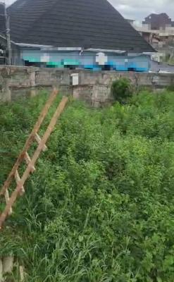 Prime Bare Land Measuring 491.553 Sqm, Ipa Close, Off Chief Natufe, Bode Thomas Junction, Surulere, Lagos, Mixed-use Land Joint Venture