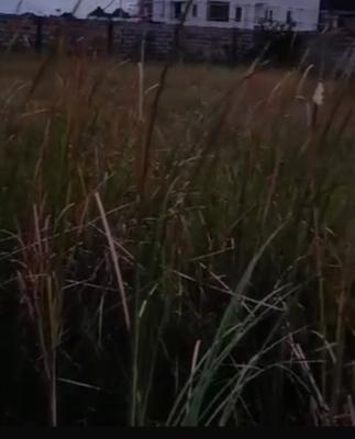 1139sqm Land, Insid an Ogidan Sangotedo, Sangotedo, Ajah, Lagos, Land for Sale