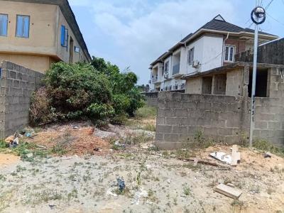 Standard Full Plot of Land with Registered Survey, Sholuyi, Gbagada, Lagos, Residential Land for Sale