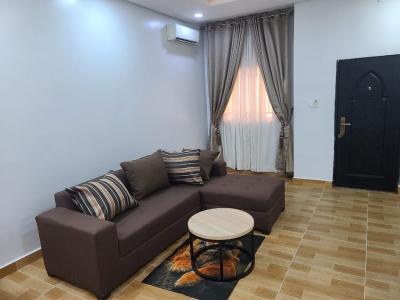 Fully Furnished Mini Flat, Freedom Way, Lekki Phase 1, Lekki, Lagos, Mini Flat (room and Parlour) for Rent
