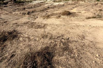 Premium Affordable Land, Asa Town, Aba, Abia, Land for Sale