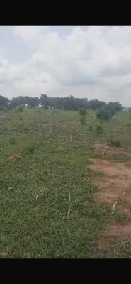 Maitama Land, Maitama 2, Maitama 2, Maitama District, Abuja, Residential Land for Sale