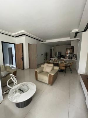 Fully Furnished Two (2) Bedroom Apartment, Lekki Phase 1, Lekki, Lagos, Flat / Apartment for Rent