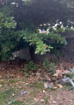 Land Measuring Full Plot, Wahuwa Street, Divine Estate, Off Gloryland Estate, Ago Palace, Isolo, Lagos, Residential Land for Sale