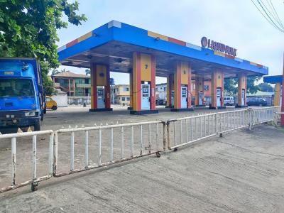 Functional Filling Station, Abeokuta Expressway Dopemu, Dopemu, Agege, Lagos, Filling Station for Sale