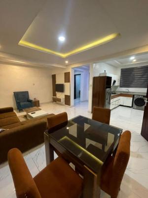 Well Furnished and Fully Serviced 1 Bedroom Apartment in a Gated Estat, Shoreline Estate Off Banana Island Estate Road, Banana Island, Ikoyi, Lagos, Mini Flat (room and Parlour) for Rent