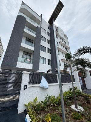 Lovely Brand New 2 Bedroom with Swimming Pool and Gym, Ikate, Lekki, Lagos, Flat / Apartment for Sale