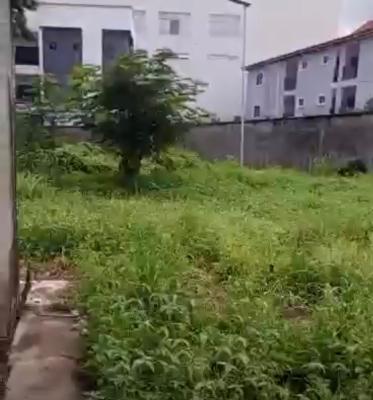 Land Size 11,000sqm with Fed C of O with Unexpired 72 Years, Saka Tinubu, Victoria Island (vi), Lagos, Land for Sale