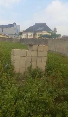 Dry and Standard 950sqm Land (full Video Available), Atunrase Estate, Gbagada, Lagos, Mixed-use Land for Sale