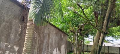 Fenced and Gated  7 Plots of Land on a Major Expressway, Omodukwu, Igwuruta Town, Port Harcourt, Rivers, Mixed-use Land for Sale