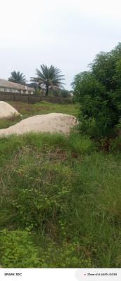 Up Land Fenced 2 Plots of Land, Orchid Road By Cooplag Estate, Lafiaji, Lekki, Lagos, Commercial Land for Rent