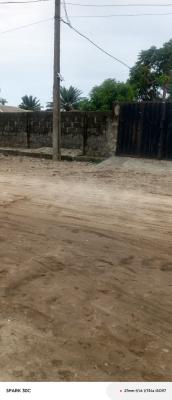 Bare Land Measuring 1000sqm at Zone a, Nicon Town Estate, Lekki, Lagos, Land for Sale