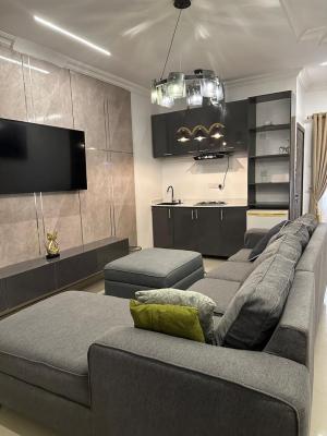 Beautiful Service Furnished 1bedroom Flat in Lekki Phase 1, Off Admiralty Way Lekki Phase 1, Lekki Phase 1, Lekki, Lagos, Mini Flat (room and Parlour) for Rent