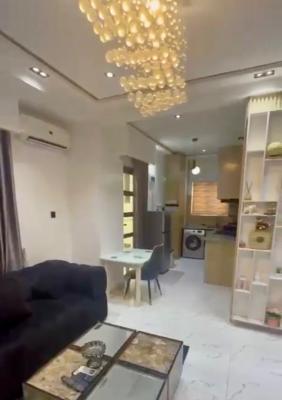 Fully Serviced and Furnished in Well Secured Estate, Ologolo, Lekki, Lagos, Mini Flat (room and Parlour) for Sale