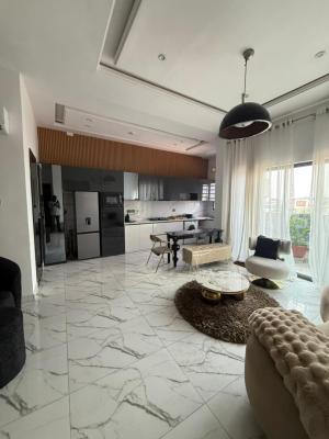 Fully Furnished 2 Bedroom Apartment, Lekki Phase 1, Lekki, Lagos, Flat / Apartment for Sale