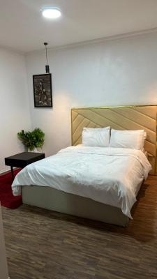 Furnished 1 Bedroom Flat in Lekki Phase 1, Lekki Phase 1, Lekki, Lagos, Mini Flat (room and Parlour) for Rent