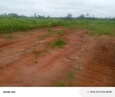 C of O in View, Asaba Benin Expressway Delta State, Asaba, Delta, Residential Land for Sale