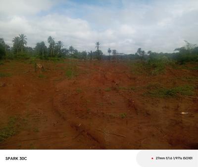 C of O in View, Asaba Benin Expressway Delta State, Asaba, Delta, Residential Land for Sale