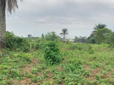 Land Measuring 600sqm in an Estate, Northern Foreshore,  Chevron, Lekki, Lagos, Residential Land for Sale