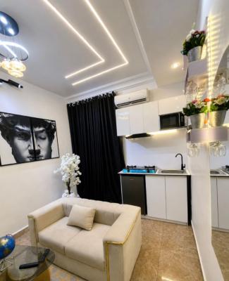 Fully Furnished One Bedroom Apartment with Open Plan Kitchen and Swimm, Canal West Estate Osapa London Lekki Phase1, Osapa, Lekki, Lagos, Mini Flat (room and Parlour) for Rent