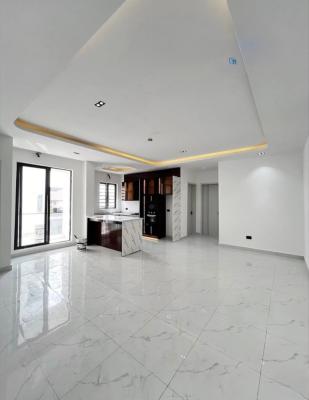 Luxury and Beautiful 2 Bedroom Apartment with Swimming Pool, Ikate, Lekki, Lekki, Lagos, Flat / Apartment for Rent