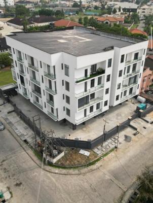 Luxury 2 Bedroom Apartment with Swimming Pool, Lekki Phase 1, Lekki, Lagos, Flat / Apartment for Rent