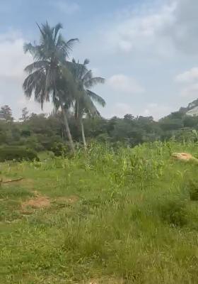 1542 Sqm of Land, Ajah, Lagos, Mixed-use Land Joint Venture