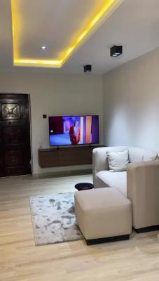 Luxurious 1-bedroom Fully Furnished Apartment in Durumi, By American International School, Durumi, Abuja, Mini Flat (room and Parlour) for Rent