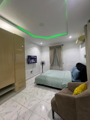 Decent Well Ventilated, Furnished and Serviced Studio Apartment, Jibowu, Yaba, Lagos, Self Contain (single Rooms) for Rent