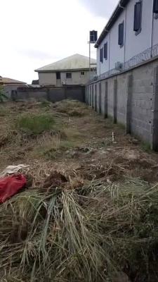 Premium Solid Full Plot of Land with Survey & Deed, Idowu Egba, Alimosho, Lagos, Residential Land for Sale