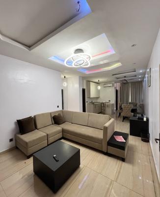 Fully Furnished 2 Bedrooms Apartment, Ikoyi, Lagos, Flat / Apartment for Rent