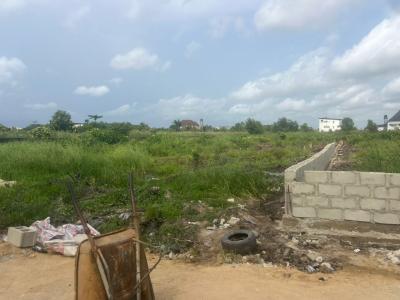 600sqm Land  (two Plot Available; 1,200sqm), Badore, Ajah, Lagos, Mixed-use Land for Sale