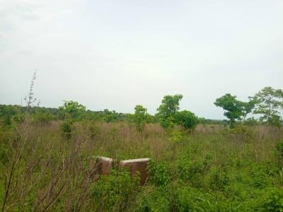 14 Acres of Land, Aba-sokoto, Iseyin Agric Hub, Iseyin, Oyo, Land for Sale