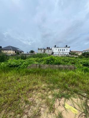 Spacious Dry Land Very Close to The Road, Sangotedo Olokonla, Ajah, Lagos, Mixed-use Land for Sale