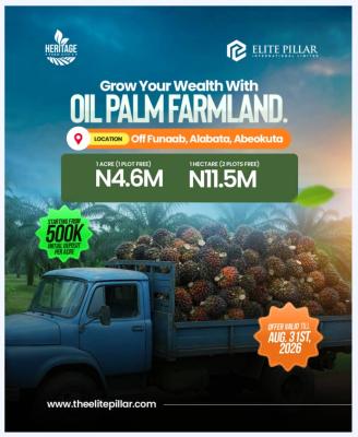 1 Acre of Palm-oil Farm: Annual Profit of 4.5m and Above, Abeokuta South, Ogun, Commercial Land for Sale