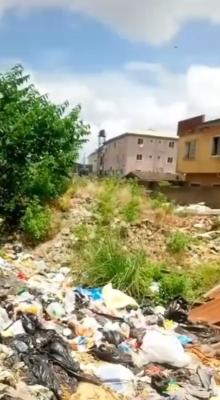 One Full Plot of Land at Cole Street Off Olufemi Via O, Surulere, Lagos, Mixed-use Land for Sale