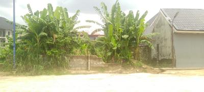 1 Plot of Fenced Land, Atali, Elimbu, Port Harcourt, Rivers, Residential Land for Sale