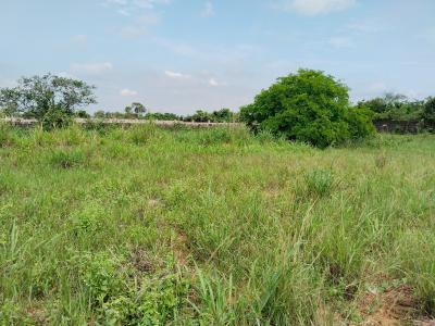 Lovely 1 Acre of Land Fenced with Gate at Abule Oba Makogi, Abule Oba Makogi Magboro Ext, Magbon, Badagry, Lagos, Residential Land for Sale