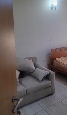 Furnished 4 Bedroom Duplex with Bq in an Estate, Ikeja Gra, Ikeja, Lagos, House for Rent