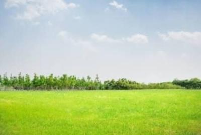 8000sqm Dry Land, Banana Island, Ikoyi, Lagos, Mixed-use Land for Sale