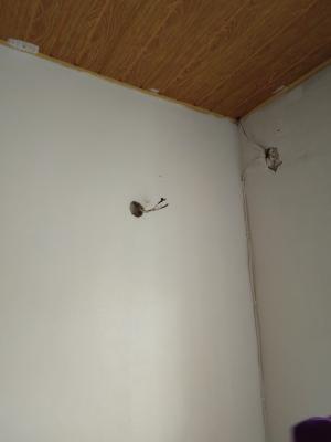 Compact 2 Bedroom, Alagbole Martins Estate, Ojodu Berger, Ojodu, Lagos, Flat / Apartment for Rent