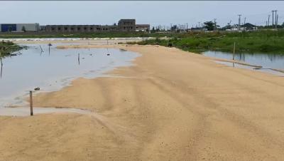 526sqm Dry Land with C of O in Serviced Estate, Ogombo, Ajah, Lagos, Residential Land for Sale