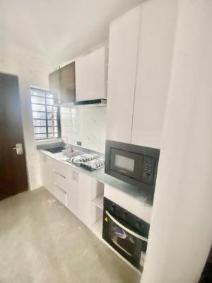 New Built Tastefully Finished Mini Flat at Alpha Beach Road Chevron, in a Very Beautiful Estate Alpha Beach Road Chevron Lekki, Lekki Phase 2, Lekki, Lagos, Mini Flat (room and Parlour) for Rent