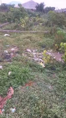 Affordable 335 Sqm of Land with Reg. Survey, Lasu–isheri Expressway, Igando, Alimosho, Lagos, Residential Land for Sale