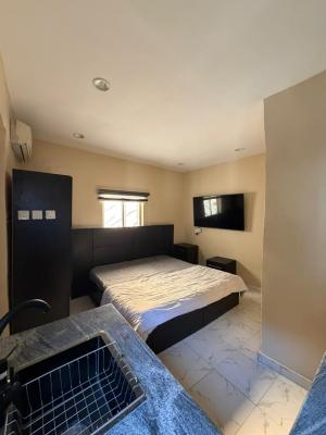 Beautifully Fully Furnished Studio Condo in a Serene Estate,, Victoria Island (vi), Lagos, Self Contain (single Rooms) for Rent