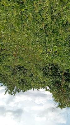 Plot of Land, Okpe Road Jeddo, Warri, Delta, Residential Land for Sale