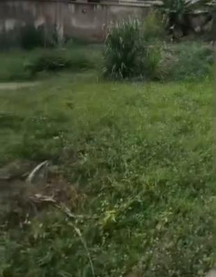 616sqm Land Abimbola Awoliyi Estate Cofo, Abimbola Awoliyi Estate, Oko-oba, Agege, Lagos, Residential Land for Sale