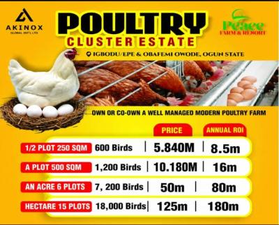 Poultry Farm Cluster Estate, Ijebu East, Ogun, Commercial Land for Sale